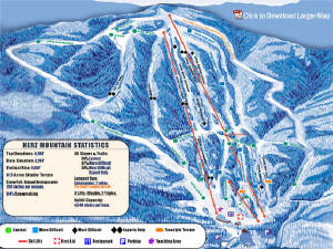 timberline.jpg