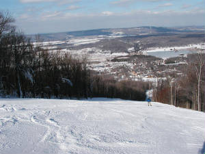 timberpic.jpg